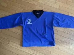 Item thumbnail for item 6efc7266-d078-4295-9ba6-ddeccb9a5f0d