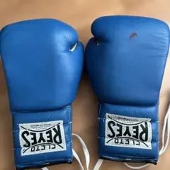 ボクシング グローブ CLETO REYES MEXICO畑山隆則 サイン付 私 - メルカリ