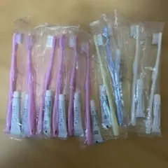 使い捨て歯ブラシ 歯磨き粉付き 10本セット
