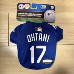 Item thumbnail for item bc787059-ab23-4698-be67-2ed707209dce