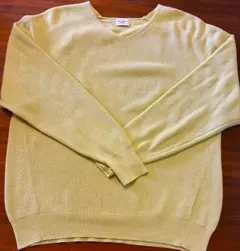 URBAN RESEARCH DOORS Vネックニット 長袖 M