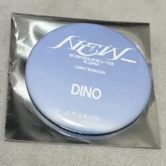 【SEVENTEEN NEWわなげ特典】ディノ　缶バッジ