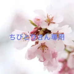 CABan カーディガンXS