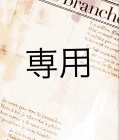 専用