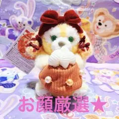 新品タグ付】クッキーアン肩のせ♡ハロウィーン・スウィートサプライズ