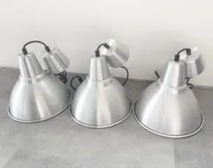 Item thumbnail for item eee4a2b2-de0f-4bbb-870c-7d435b183d74