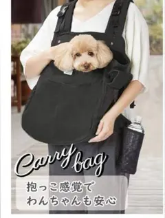 Item thumbnail for item 9b9b834a-ae48-477e-935c-ee5e89fa7ebe