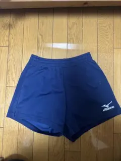 Item thumbnail for item f82c4053-18a1-4a2b-919d-e8a978d320eb