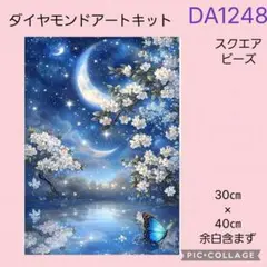 DA1248★ダイヤモンドアートキット★スクエアビーズ