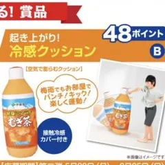 起き上がり！冷感クッションのサムネイル