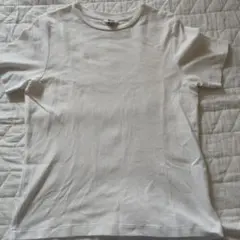 Item thumbnail for item 33fa4982-0e7f-4aad-abff-44704039a53c