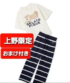 上野限定】GELATO PIQUE 柴犬 ルームウェアセット ジェラートピケ
