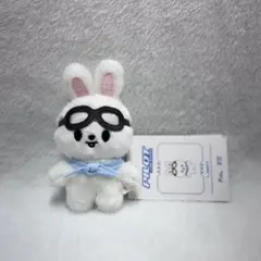 2026年最新】skzoo リノ leebit ぬいぐるみの人気アイテム - メルカリ