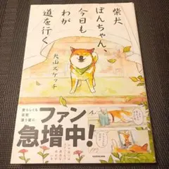 柴犬ぽんちゃん、今日もわが道を行く
