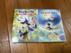 2冊　おまとめ出品