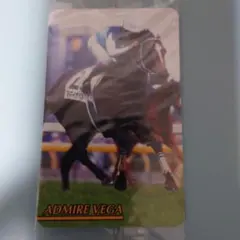 まねき馬　J32　アドマイヤベガ　武豊