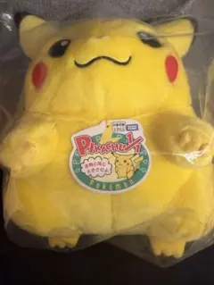 ポケモン30周年記念 ぬいぐるみ　おかえり！ピカチュウ1/1