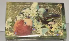 あんスタ　中国　コロッタ　一彩