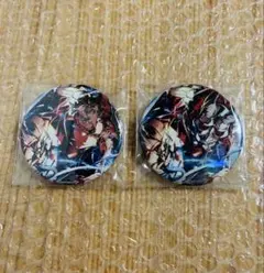 crazy raccoon Arisakaaa ありさか 缶バッジ 2個セット