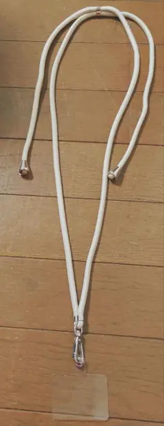 Item thumbnail for item 29f85536-a16d-4a6e-997e-88a8a9ed065e