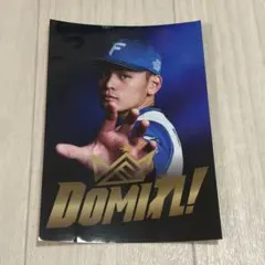 北海道日本ハムファイターズ 野村佑希 ステッカー