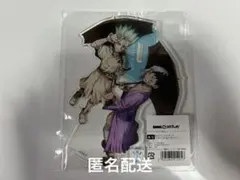 Dr.STONE レイニーデイ B賞 BIGアクリルスタンド 千空&あさぎりゲン