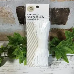 Item thumbnail for item ddf3807e-5ecb-4a37-9234-68c6d6039d13