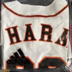 Item thumbnail for item 50654250-6ecc-4dca-b004-56d605f32bb9