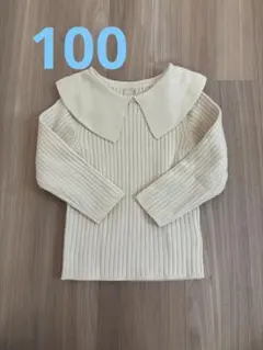 プティマイン　サイズ100