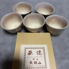 陶器製湯飲み 5個セット 専用箱付き