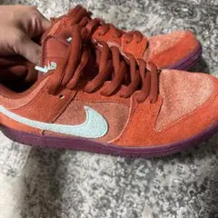 NIKE SB DUNK LOW PRO PRM