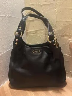 極美品】COACH アシュレイ パイソン レザー サッチェル 2WAY 黒 - メルカリ