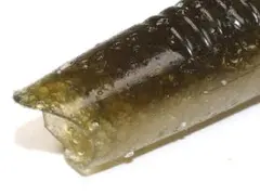 ワッパー4"のサムネイル