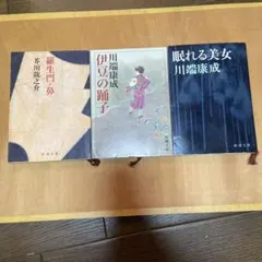 Item thumbnail for item 5fe90a1f-6c79-4fb3-882a-a59d12d469ef