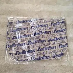 新品 三代目JSB ミニトート