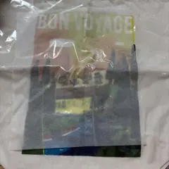 最終値下げ 小沢健二#月と街のAidade カローラⅡトートバッグ