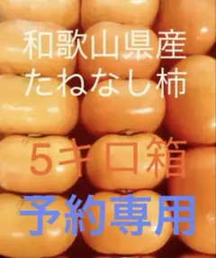 のりちゃん様専用　和歌山県産　種無し柿5キロ