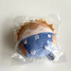 日向翔陽 E賞 てのりんず