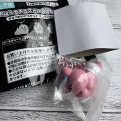 安心の匿名発送 おぱんちゅうさぎ×んぽちゃむ チョコがけビスケット