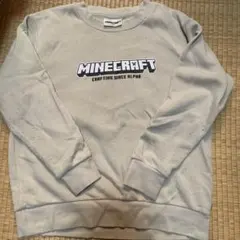 Minecraft トレーナー 150サイズ