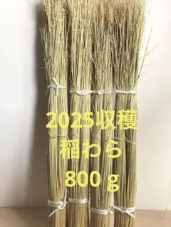 (New! 2025収穫) 稲わら800 g 【家庭菜園、正月飾り花材に最適】
