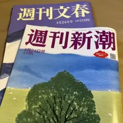 Item thumbnail for item 18315fd2-a167-42b8-8d34-9d9f0e6feea5