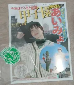 あいみょん 10周年記念ライブ　甲子園球場　デイリースポーツ　うちわのサムネイル