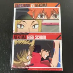 ハイキュー　クリアビジュアルポスター　日向翔陽　孤爪研磨　黒尾鉄朗