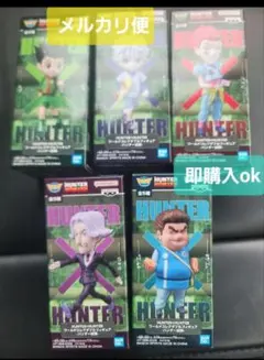 HUNTER×HUNTER ワールドコレクタブルフィギュア-ハンター試験-
