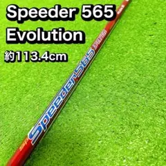 Item thumbnail for item 9d3d9b6d-c12e-418b-afc4-3ea5f95b8665