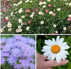 kurukuru様 リクエスト 2点 まとめ商品