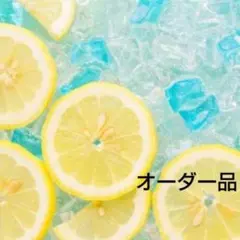 オーダーハンドメイド ミサンガ アンクレット V (511)