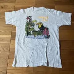 中島健人着用)COACH 恐竜グラフィック Tシャツ Mサイズ - メルカリ