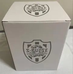 SHIMIZU S-PULSE 地球儀 100年構想リーグ8試合目 - メルカリ